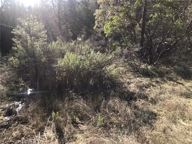 $22,000 | 9660 Harrington Flat Road, Middletown, CA 95461