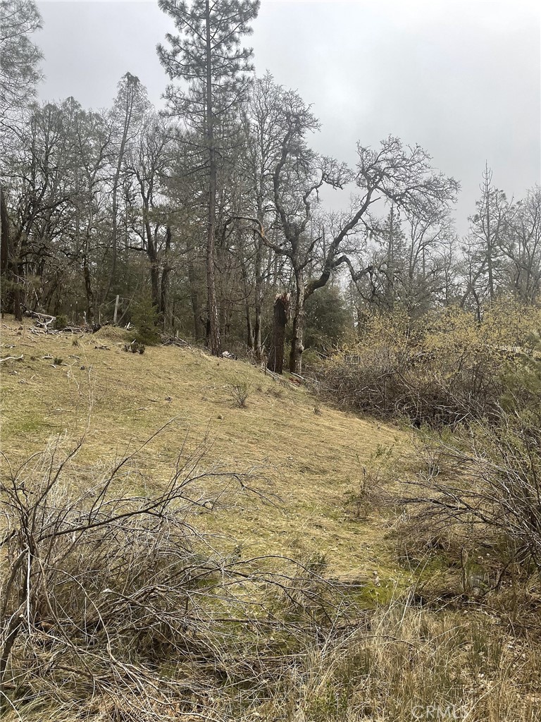 9660 Harrington Flat Road Middletown, CA 95461 - Photo 3 of 19