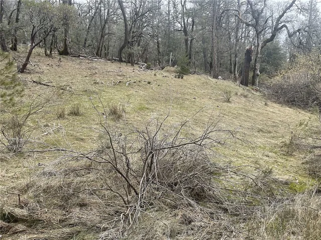 $22,000 | 9660 Harrington Flat Road, Middletown, CA 95461