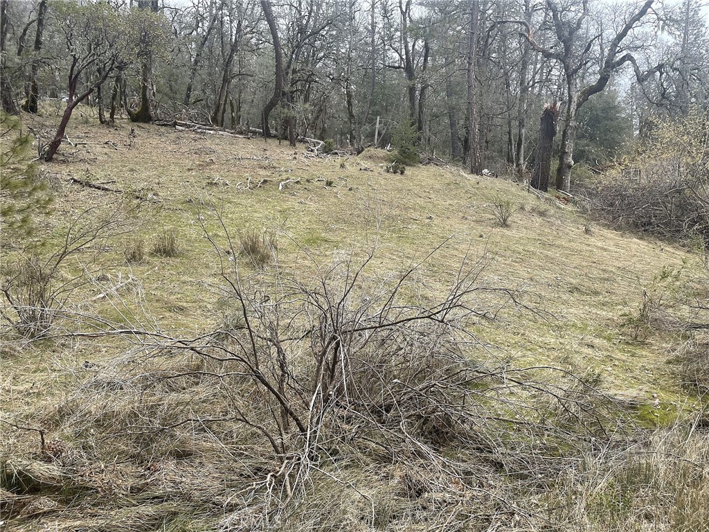 9660 Harrington Flat Road Middletown, CA 95461 - Photo 5 of 19