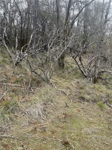 $22,000 | 9660 Harrington Flat Road, Middletown, CA 95461