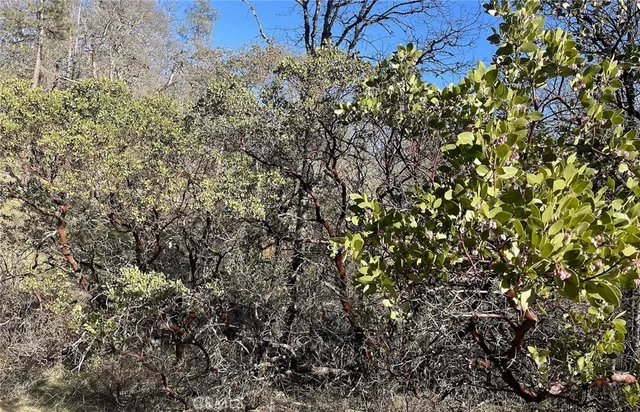 $22,000 | 9660 Harrington Flat Road, Middletown, CA 95461