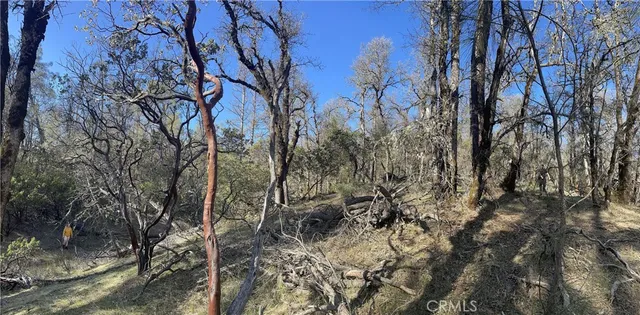 $22,000 | 9660 Harrington Flat Road, Middletown, CA 95461