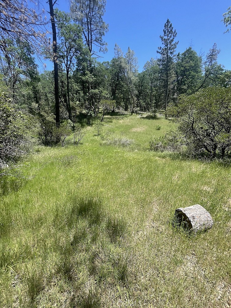 9660 Harrington Flat Road Middletown, CA 95461 - Photo 9 of 19