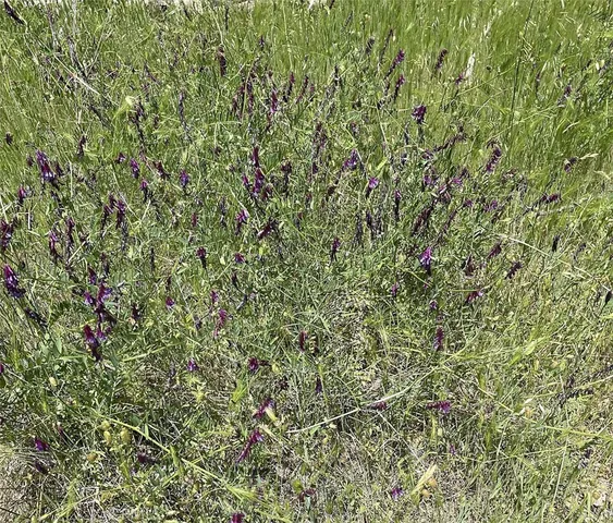 $22,000 | 9660 Harrington Flat Road, Middletown, CA 95461