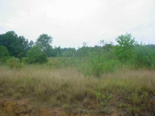 0 Charles Mcdaniel Road Amite, LA 70422 - Photo 1 of 3 Gallery Image 1