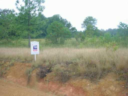 0 Charles Mcdaniel Road Amite, LA 70422 - Photo 2 of 3 Gallery Image 2