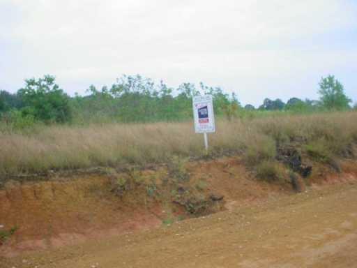 0 Charles Mcdaniel Road Amite, LA 70422 - Photo 3 of 3 Gallery Image 3