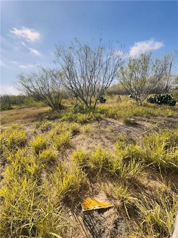 a view of a yard with a house