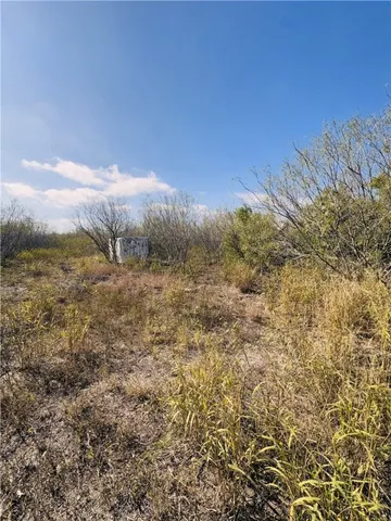 a view of a field with an ocean