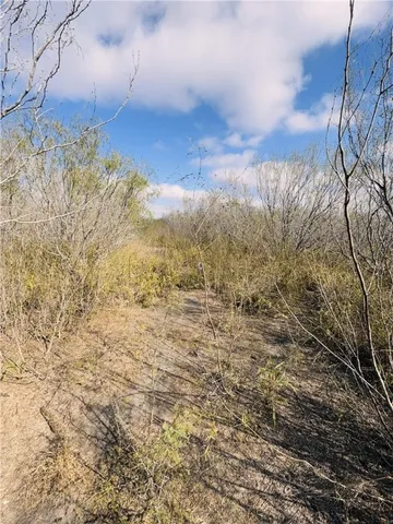 a view of a dry yard with wooden fence