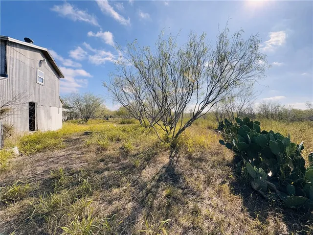 a view of a yard with a tree