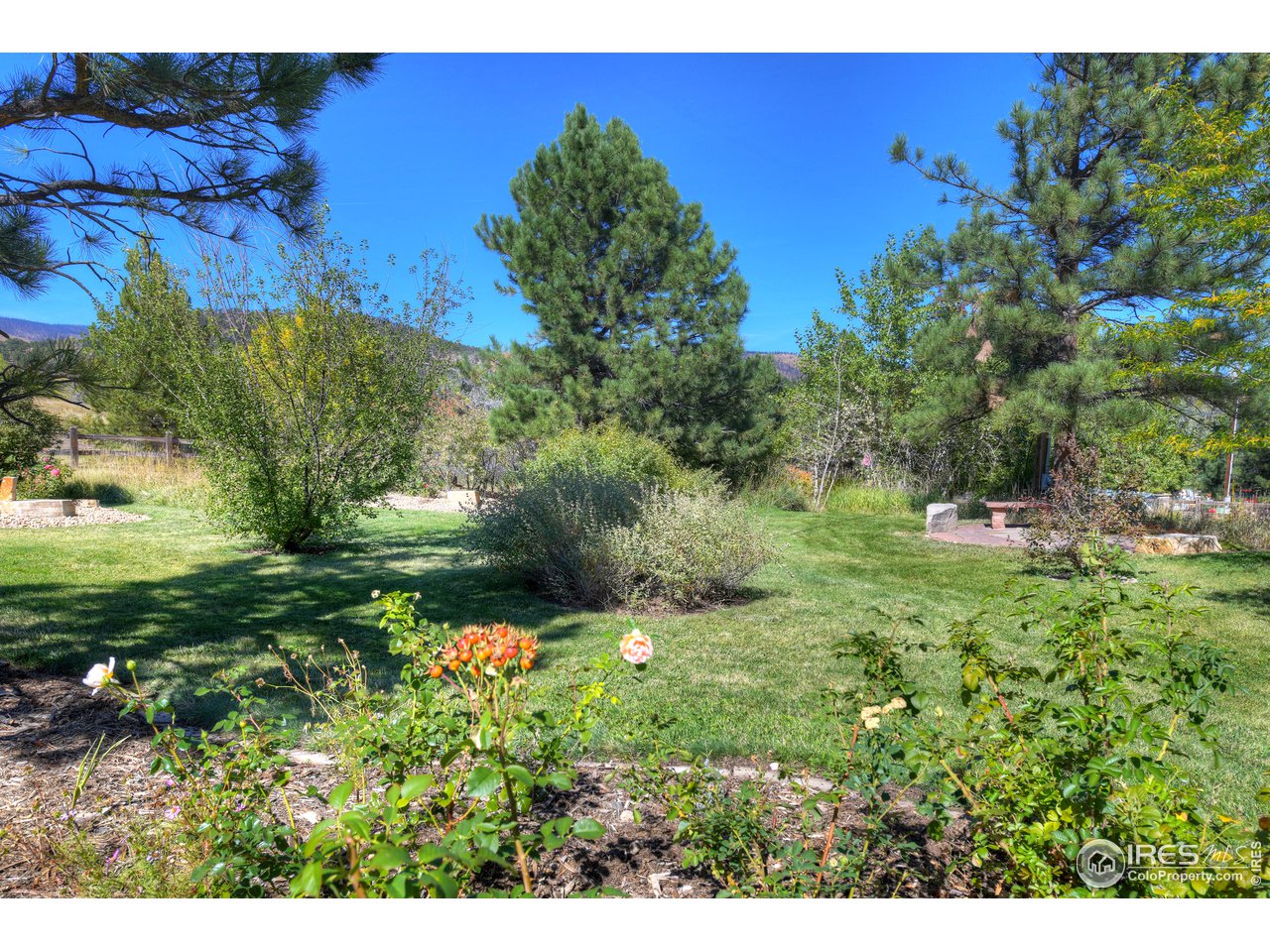 2966 Middle Fork Road Boulder, CO 80302 - Photo 26 of 40 Amazing yard