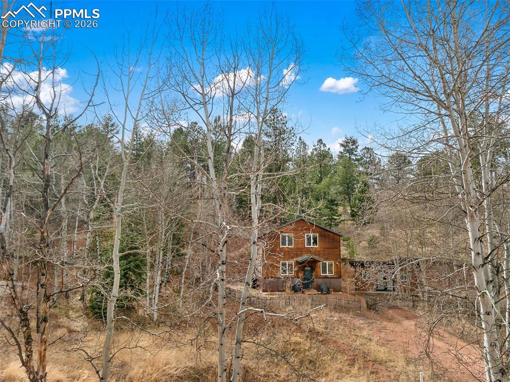 325 Willow Road Divide, CO 80814 - Photo 40 of 49