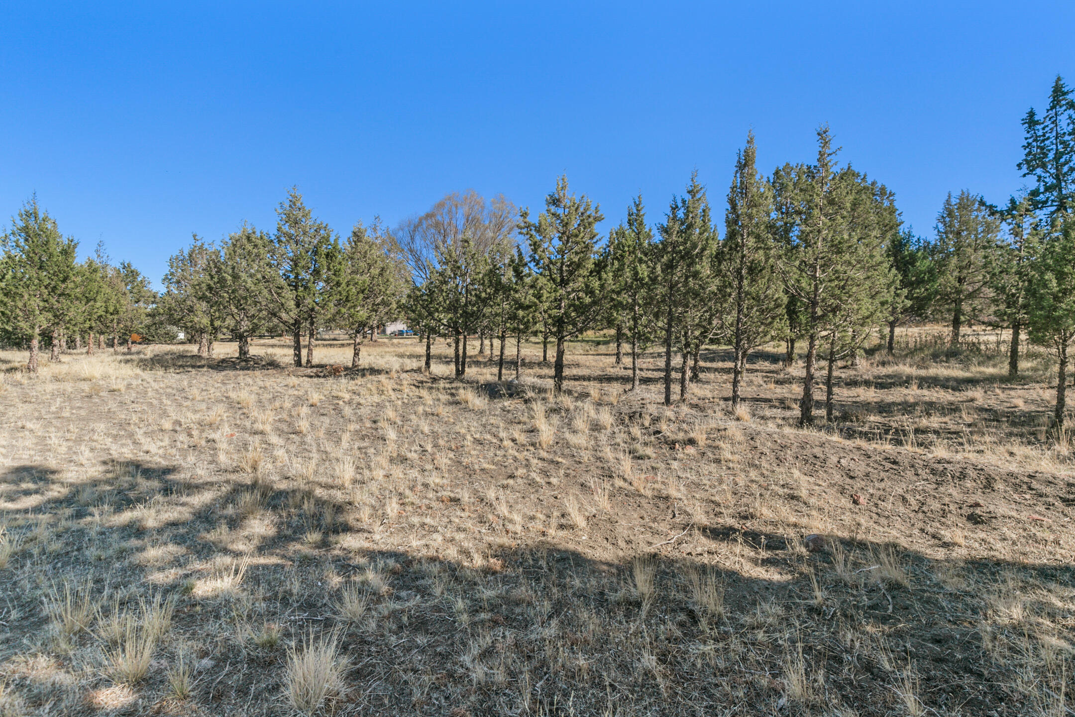 10228 Southwest Ruth Drive Culver, OR 97734 - Photo 8 of 38 2021_10_01_10225_s_ruth_dr_culver-8