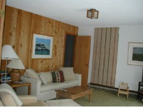 16 Little Brook Road Winhall, VT 05340 - Photo 4 of 12