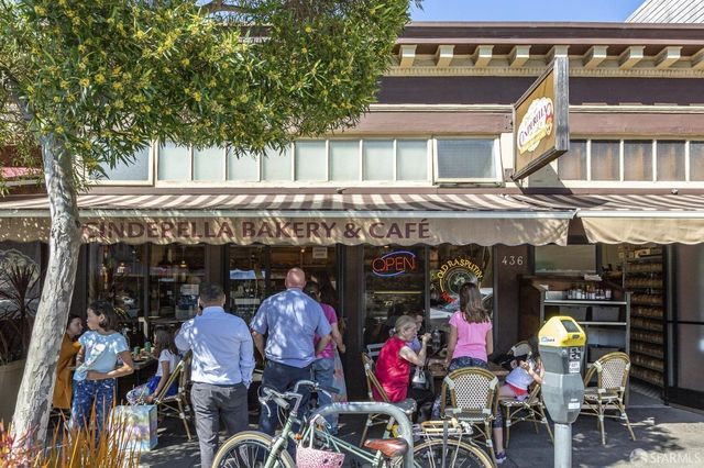 a park with lots of trees and plants