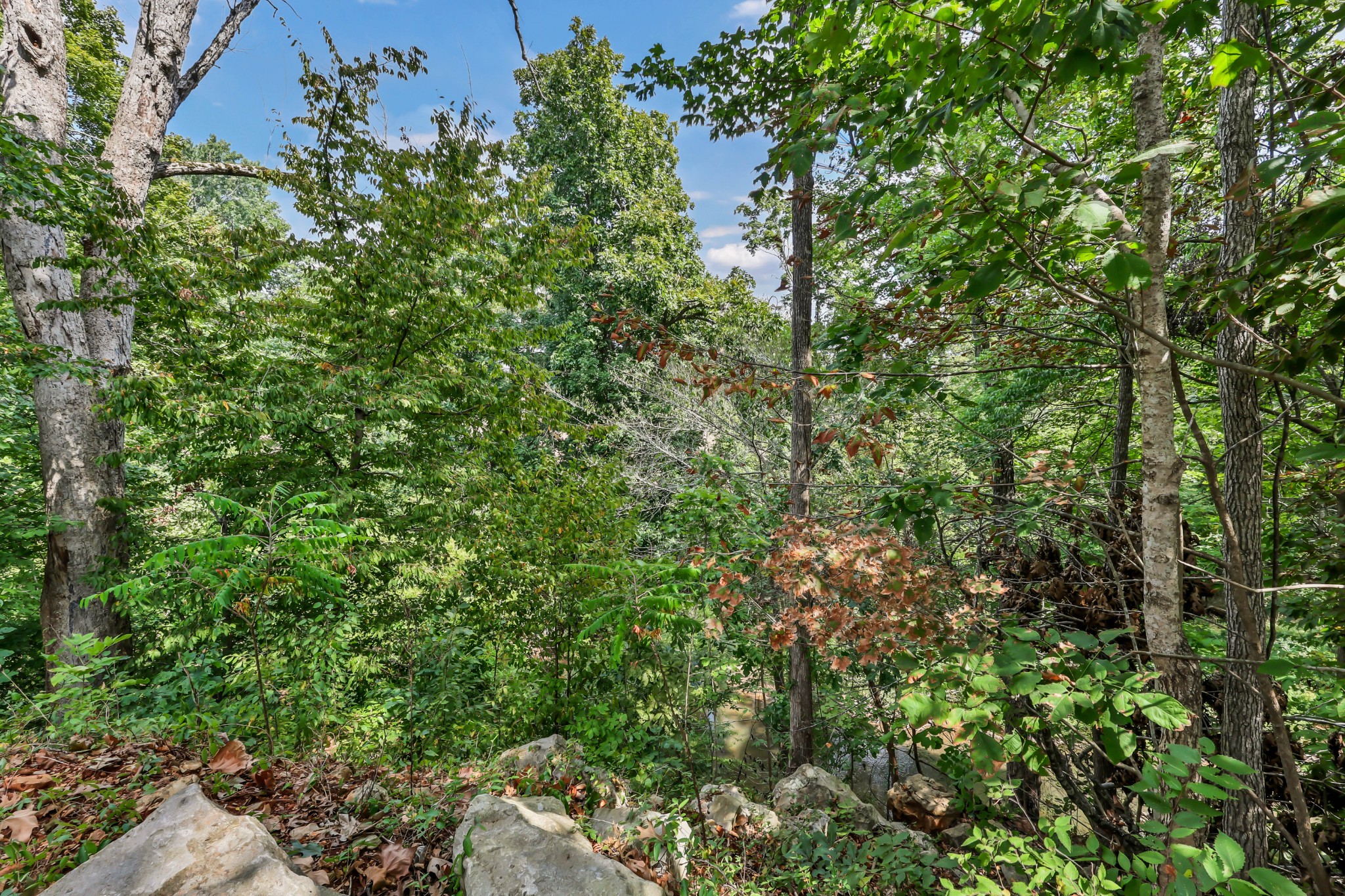 105 Ridgepoint Court Clarksville, TN 37040 - Photo 60 of 60 Gallery Image 60