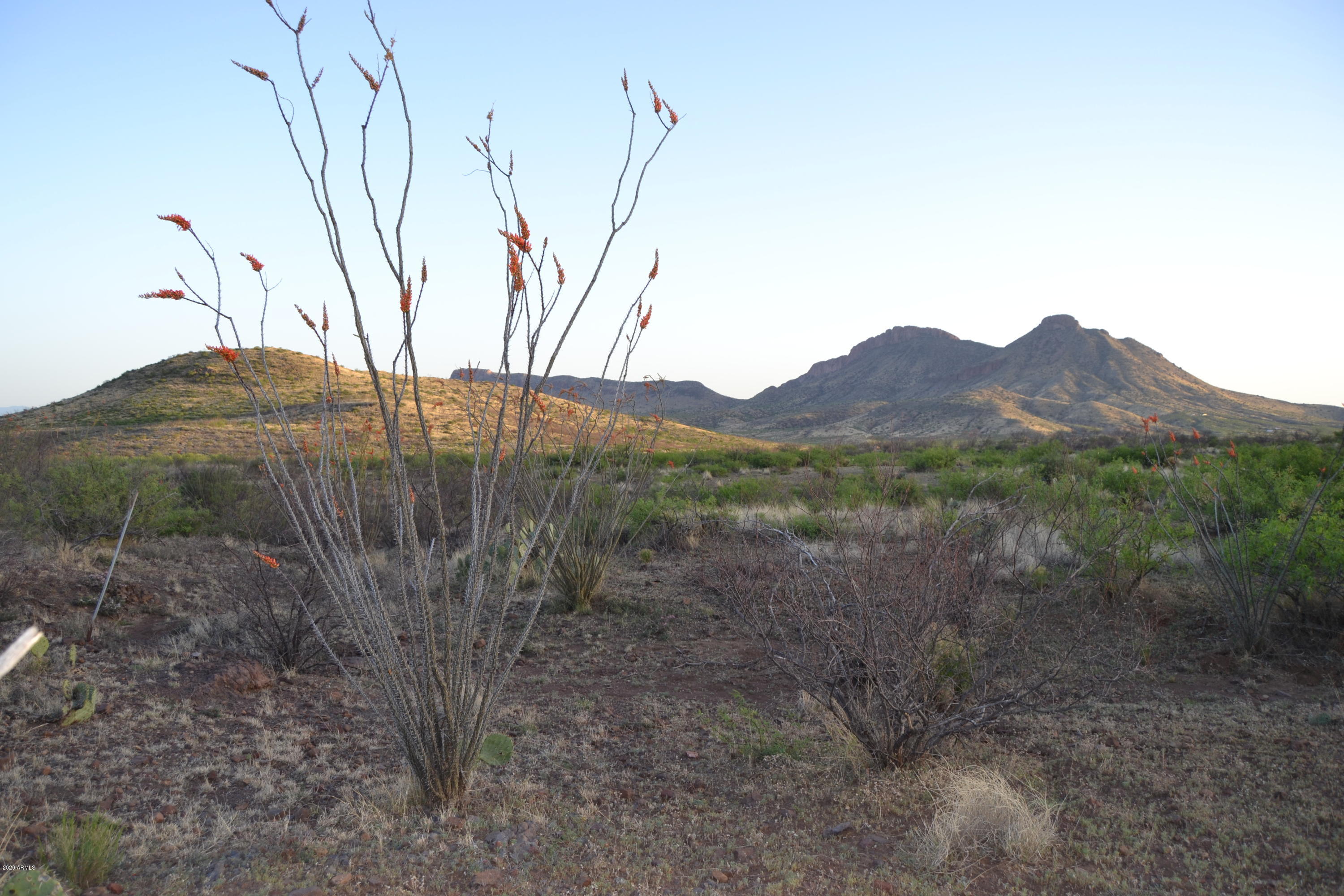 Tbd North Lobo Road Douglas, AZ 85607 - Photo 20 of 24 DSC_0005