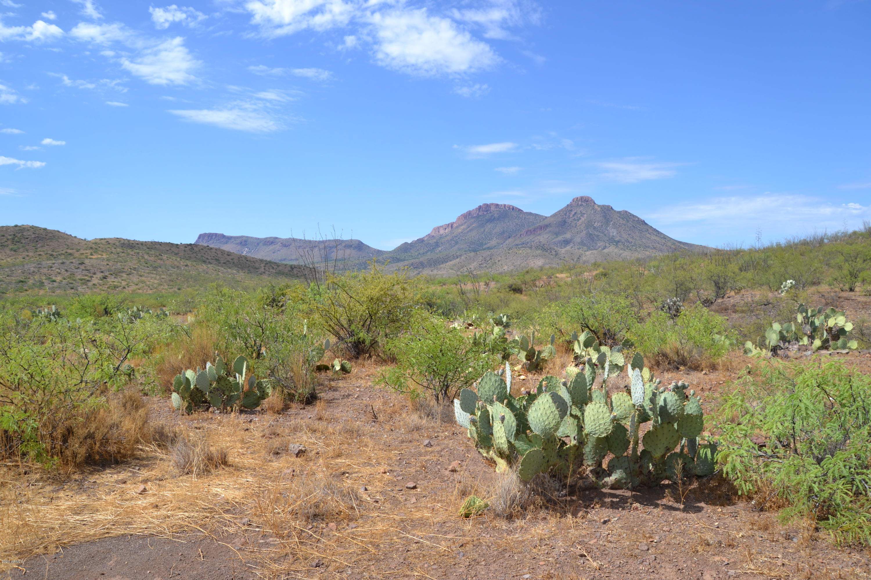Tbd North Lobo Road Douglas, AZ 85607 - Photo 2 of 24 DSC_0256