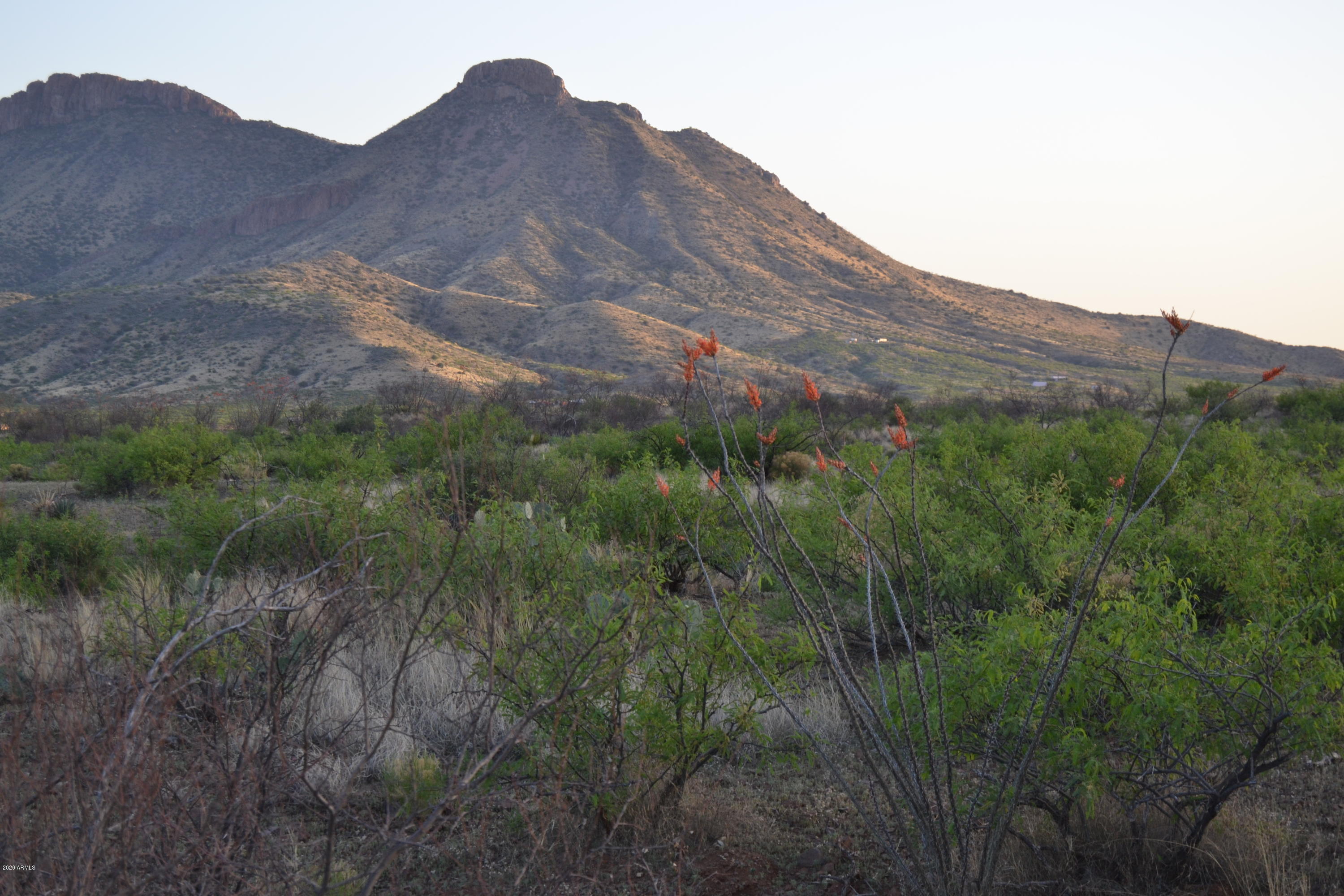 Tbd North Lobo Road Douglas, AZ 85607 - Photo 21 of 24 DSC_0006