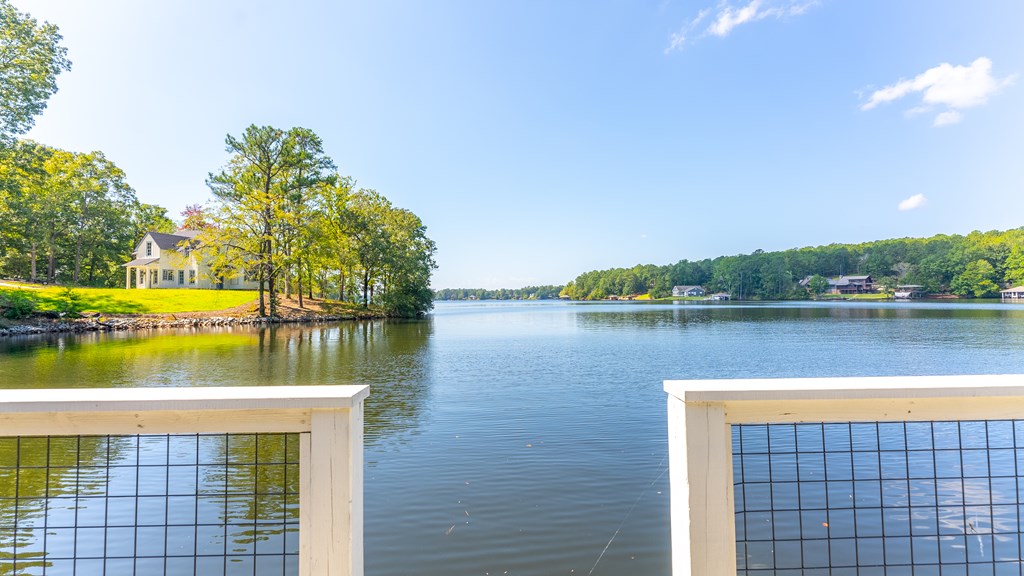 143 Boat Club Way Hamilton, GA 31811 - Photo 43 of 55