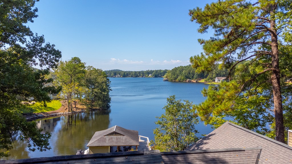 143 Boat Club Way Hamilton, GA 31811 - Photo 46 of 55