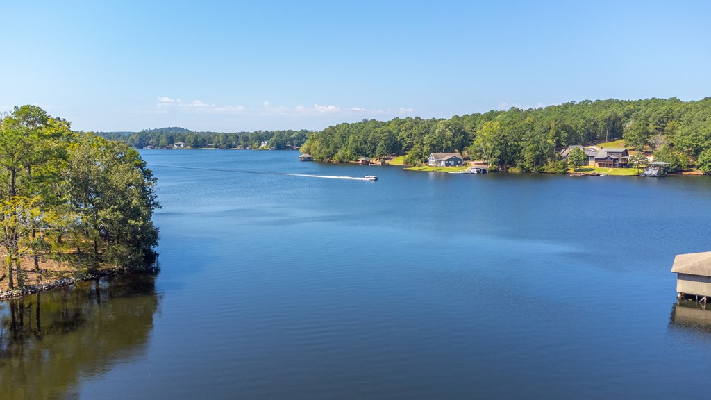143 Boat Club Way Hamilton, GA 31811 - Photo 48 of 55