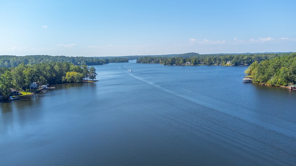 143 Boat Club Way Hamilton, GA 31811 - Photo 49 of 55