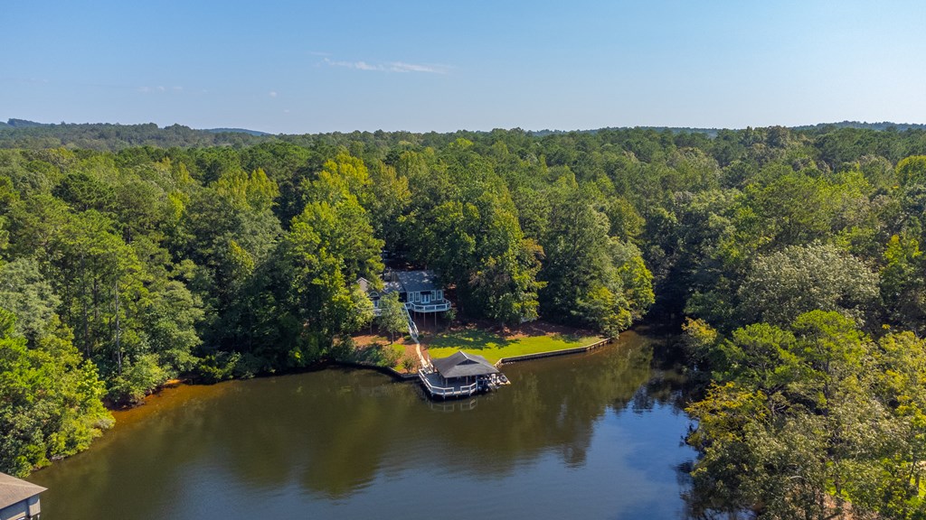 143 Boat Club Way Hamilton, GA 31811 - Photo 50 of 55