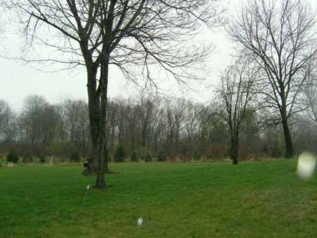 3189 Kalmbach Road Grass Lake, MI 49240 - Photo 2 of 8 Photo 2