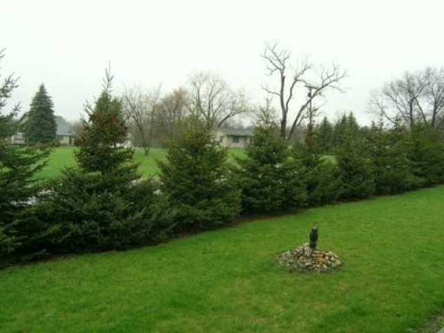 3189 Kalmbach Road Grass Lake, MI 49240 - Photo 3 of 8 Photo 3