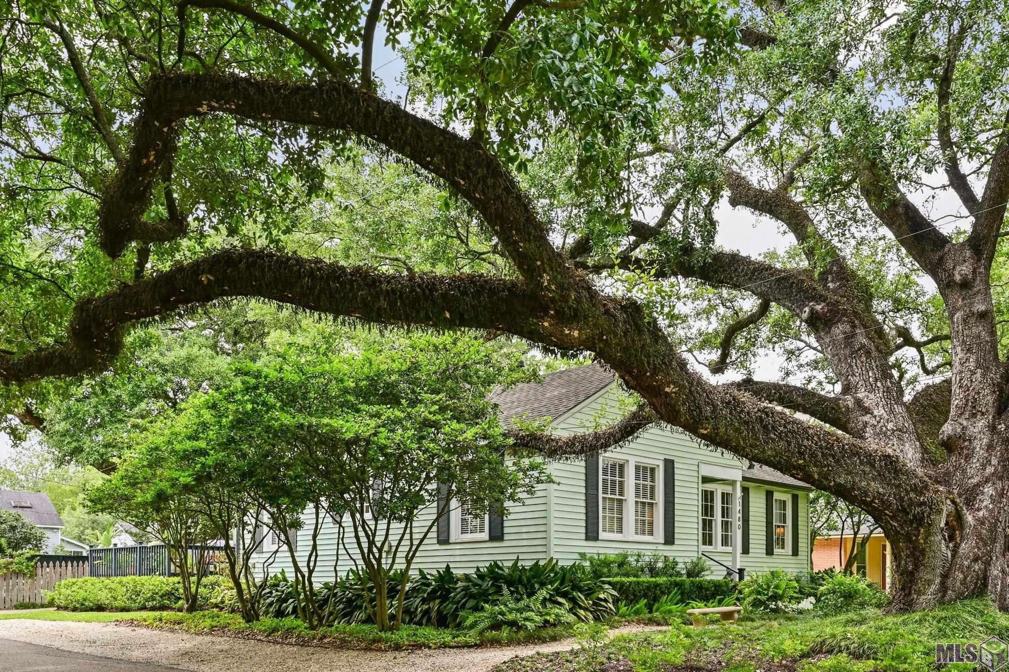 1480 Kenmore Avenue Baton Rouge, LA 70808 - Photo 36 of 38