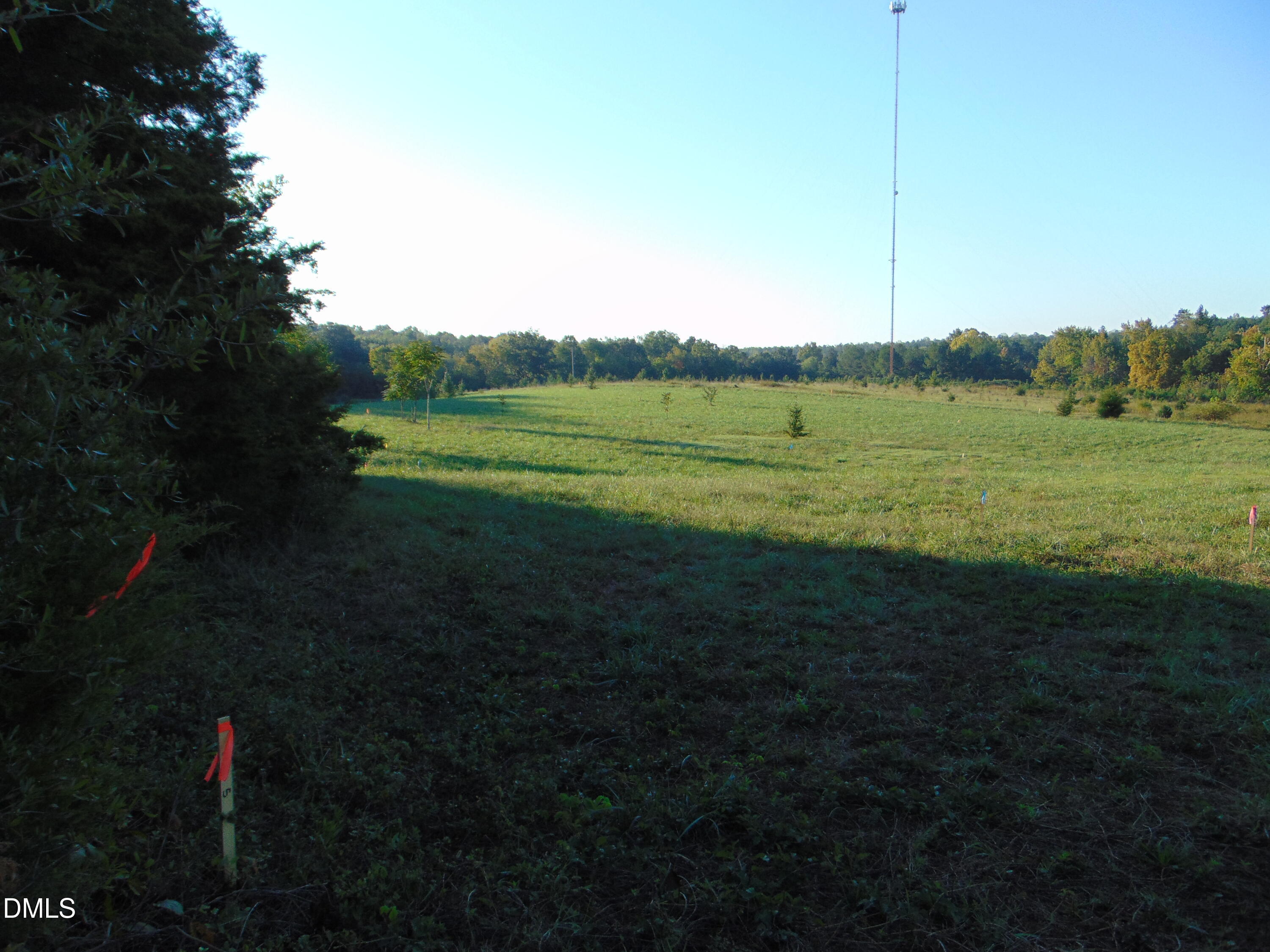 0 Files Road Blanch, NC 27212 - Photo 10 of 11 DSC01657