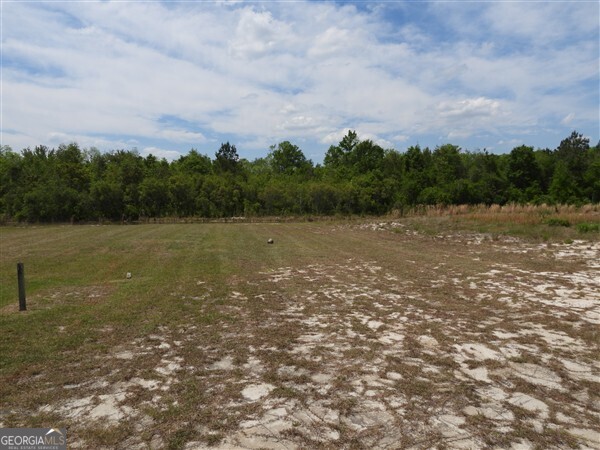 5915 Rye Patch Road Ludowici, GA 31316 - Photo 17 of 25 a view of a lake with houses in the back