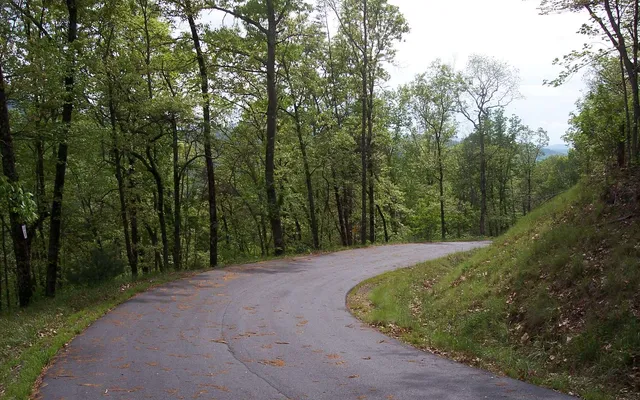 $24,635 | 30 Coyote Cove, Hayesville, NC 28904