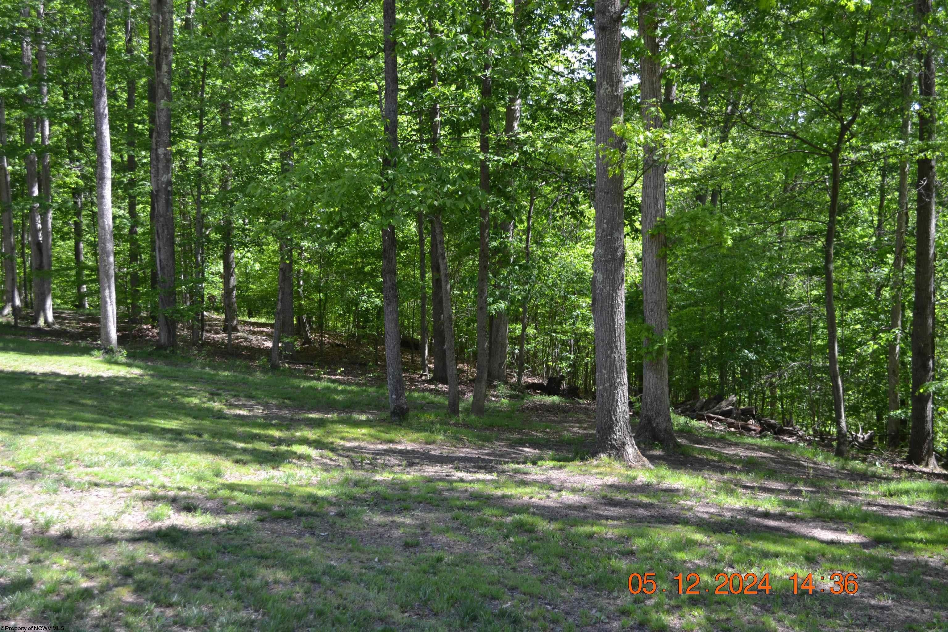 178 Rocco Run Road Walkersville, WV 26447 - Photo 31 of 38 Gallery Image 31