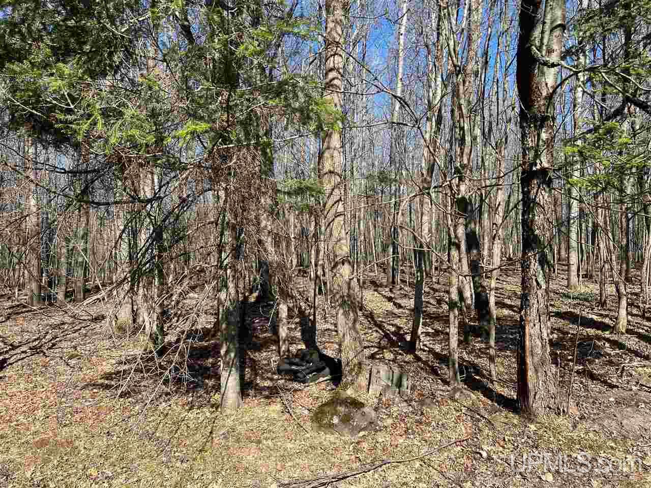 Tbd Nowicki Road Ewen, MI 49925 - Photo 1 of 1