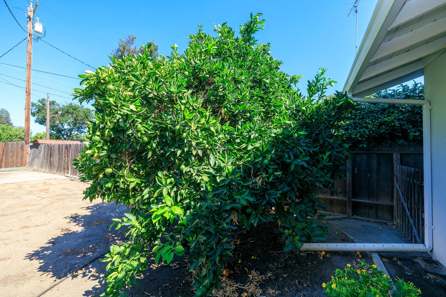 1317 Wallin Way Modesto, CA 95351 - Photo 74 of 76