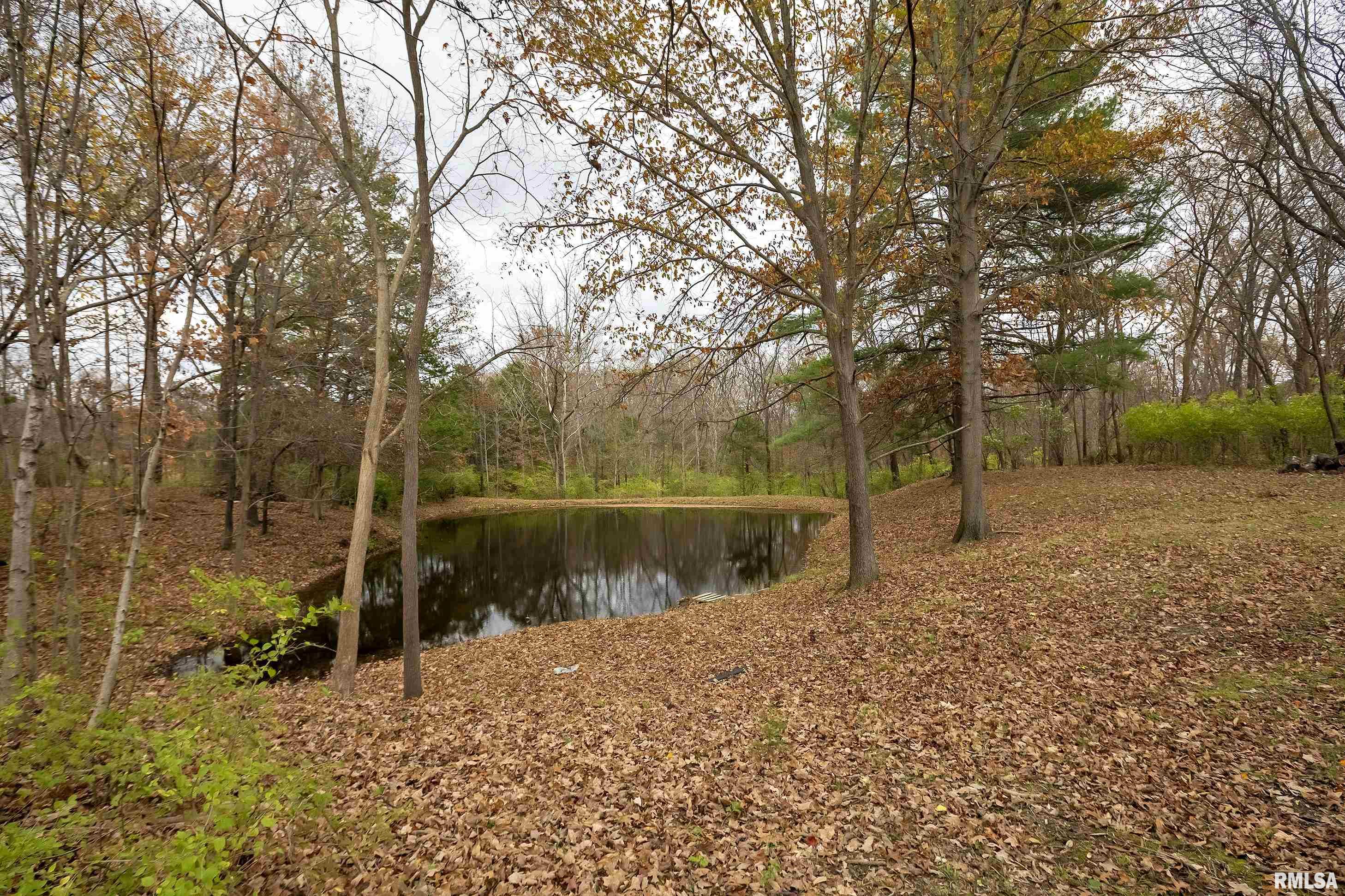 8750 East Casey Pike Road Mount Vernon, IL 62864 - Photo 24 of 32