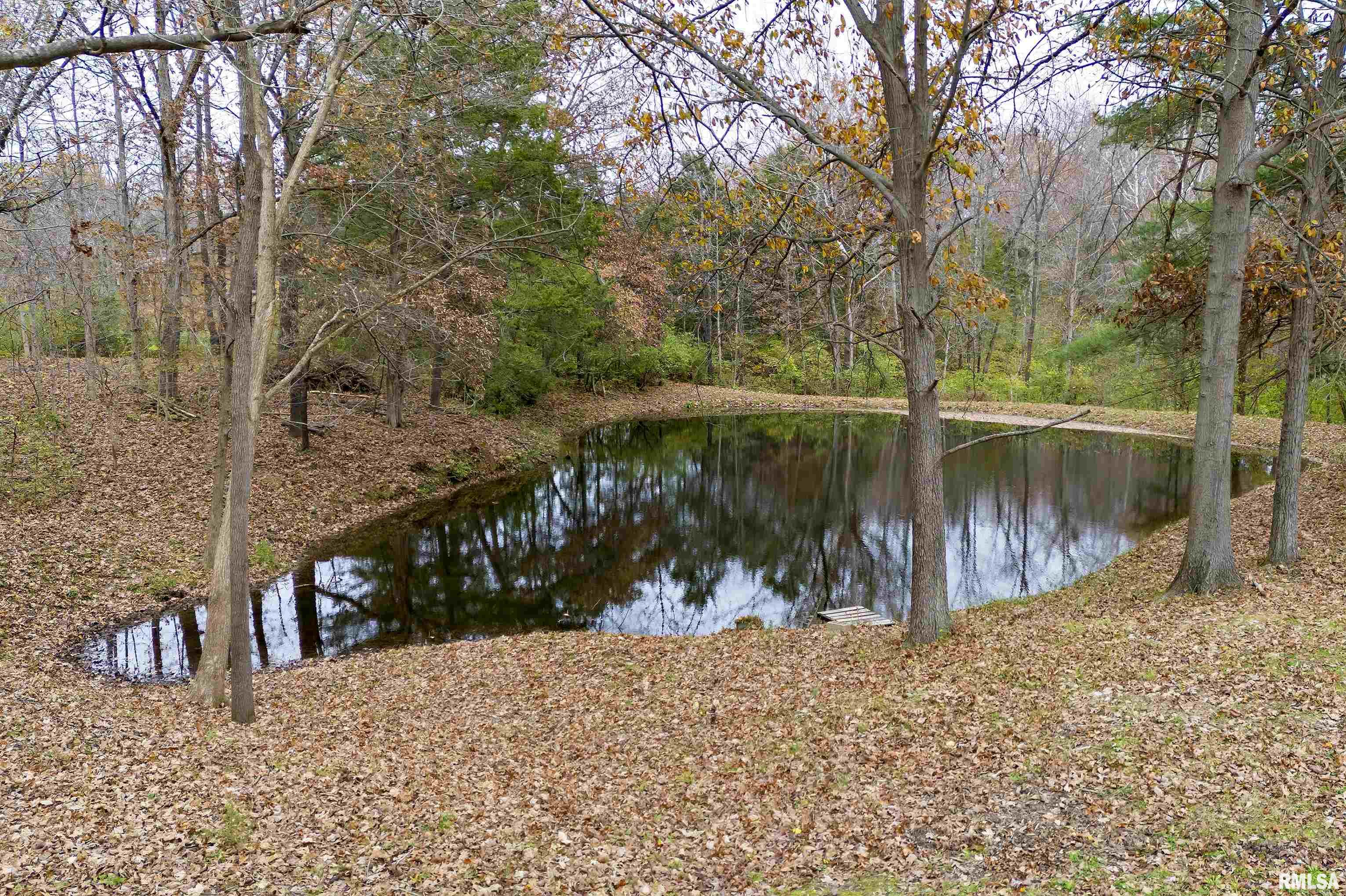 8750 East Casey Pike Road Mount Vernon, IL 62864 - Photo 4 of 32