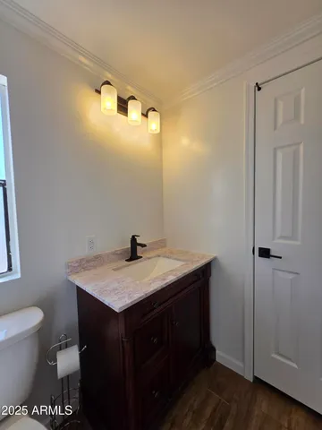 a view of a bunch of plants and flowers