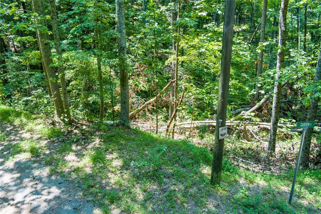 1145 Embry Court Ranger, GA 30734 - Photo 17 of 36 Gallery Image 17