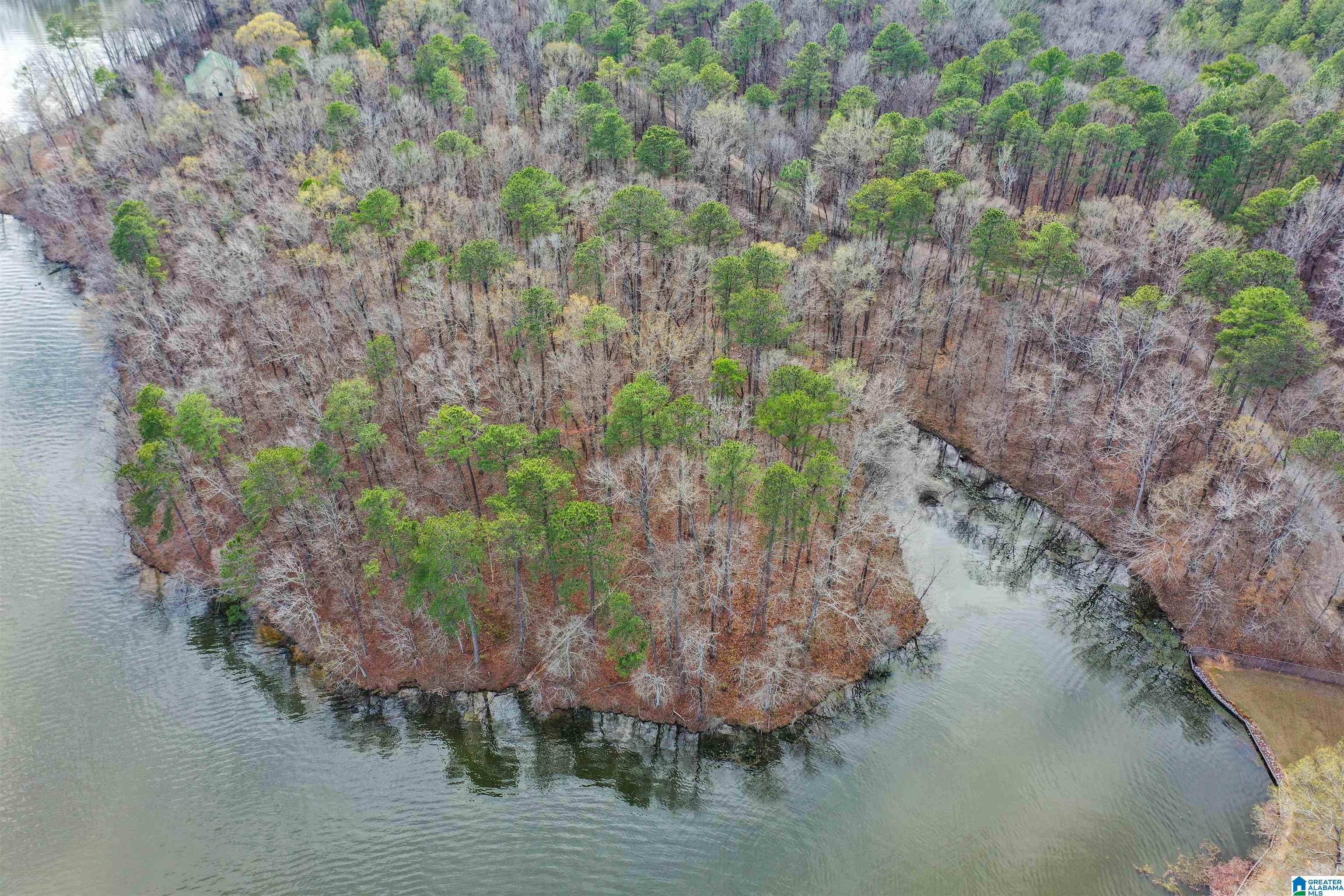 South River Road, Unit LONG Shelby, AL 35143 - Photo 2 of 21