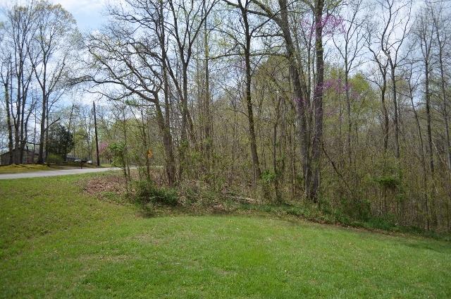 1453 Keesee Road Clarksville, TN 37040 - Photo 2 of 17 Front porch looking to side yard