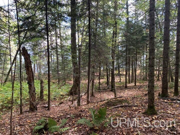 Tbd Tbd Highway Lanse, MI 49946 - Photo 5 of 6