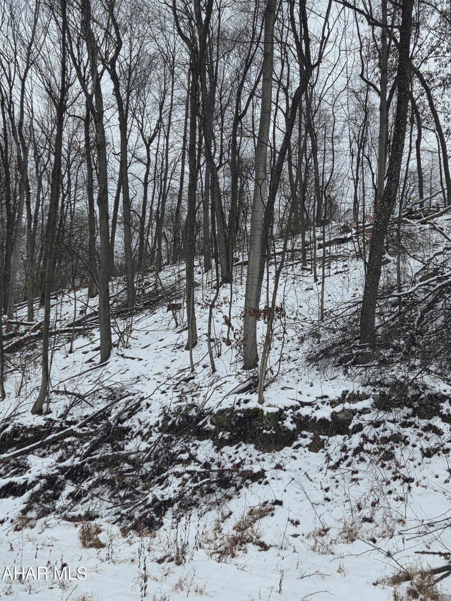 0 Sugar Ridge Road McVeytown, PA 17051 - Photo 6 of 12