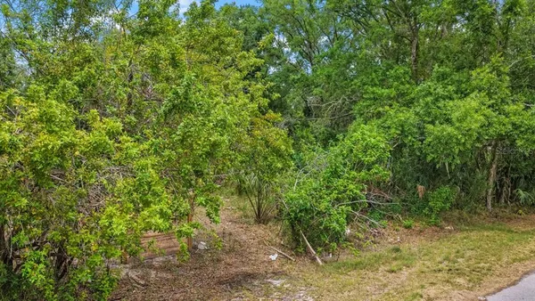 $90,000 | 704 1st Avenue Northeast, Ruskin, FL 33570