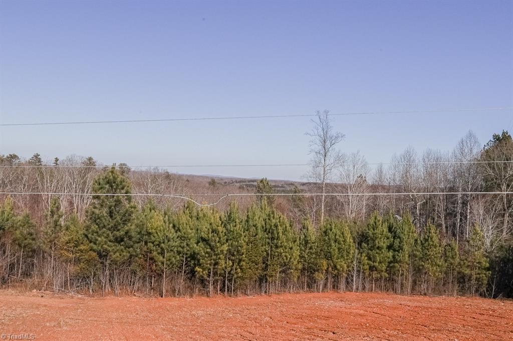 7785 Misty Mountain Road Germanton, NC 27019 - Photo 17 of 20 Gallery Image 17