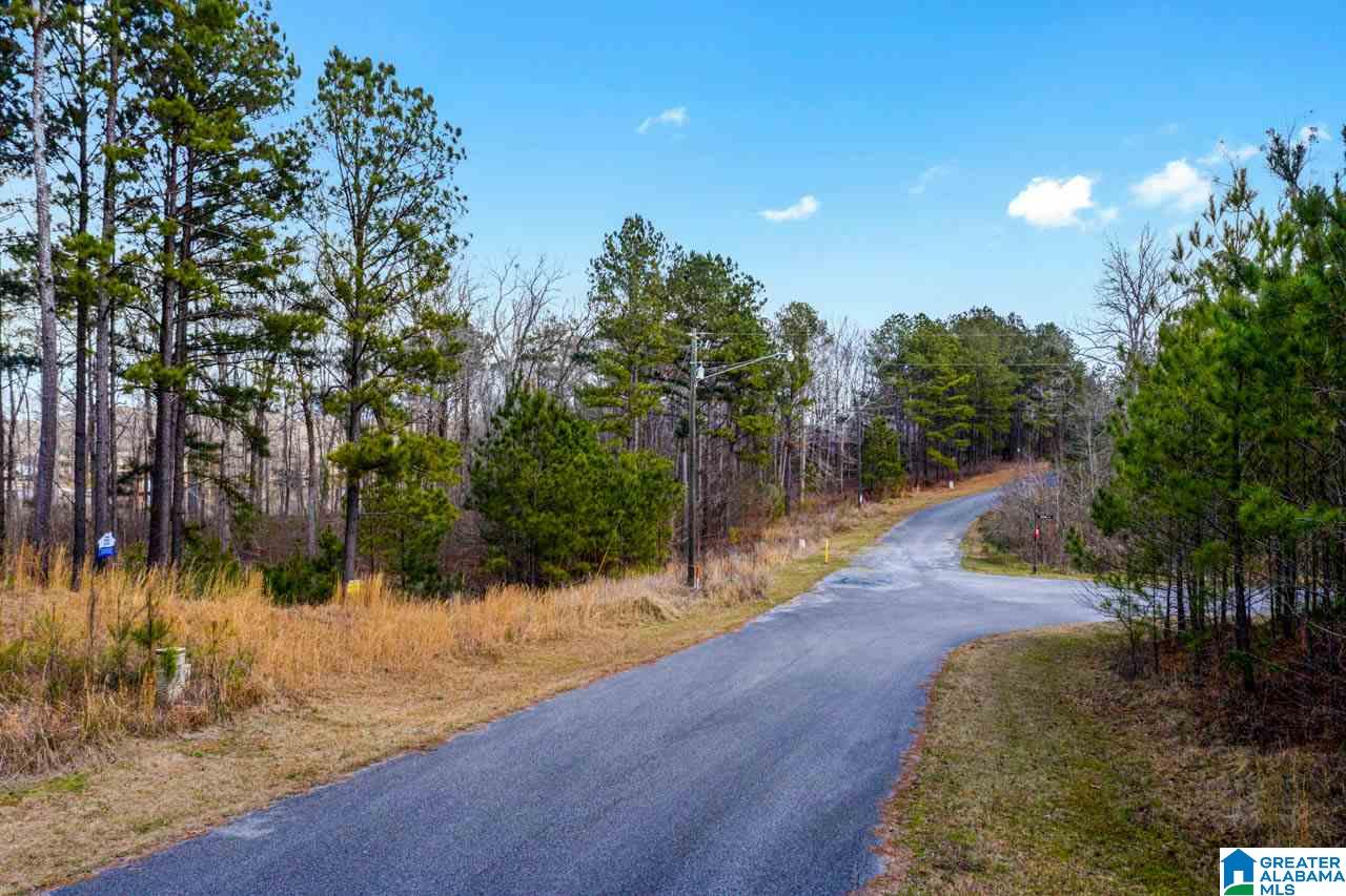 Castaway Road Sylacauga, AL 35151 - Photo 19 of 28